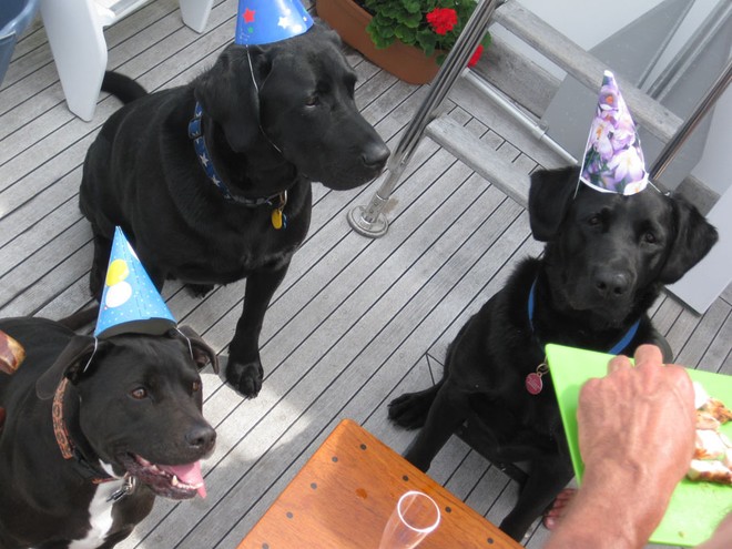 Rocky’s Birthday Party by Bob Manheimer aboard Boss Lady, a 45-foot Downeast Flybridge Cruiser on Penobscot Bay in Maine © Marinalife http://www.marinalife.com