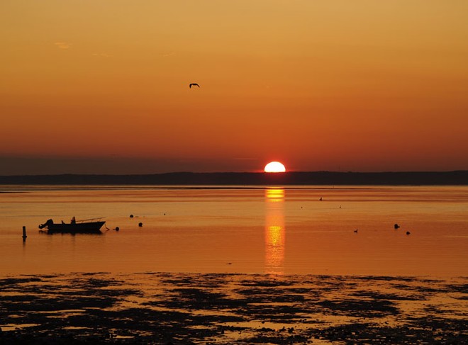Sunrise from Pavillion Beach in Ipswich, Massachusetts, looking toward Cranes Beach by Trish McGregor  © Marinalife http://www.marinalife.com