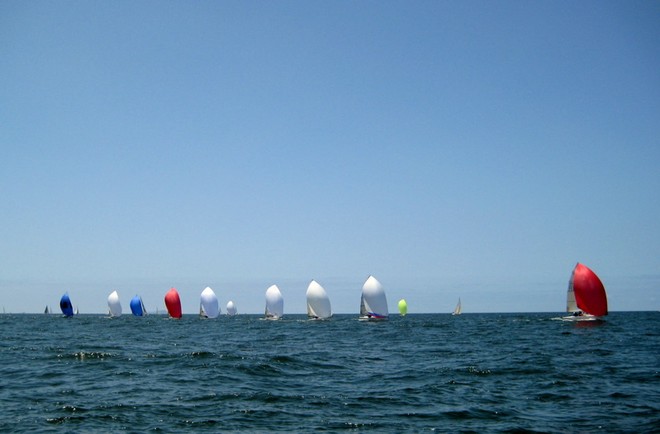Melges run - SDYC Yachting Cup 2010 © Lynn Fitzpatrick