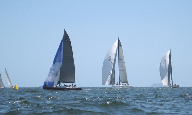 TP52 run - SDYC Yachting Cup 2010 © Lynn Fitzpatrick