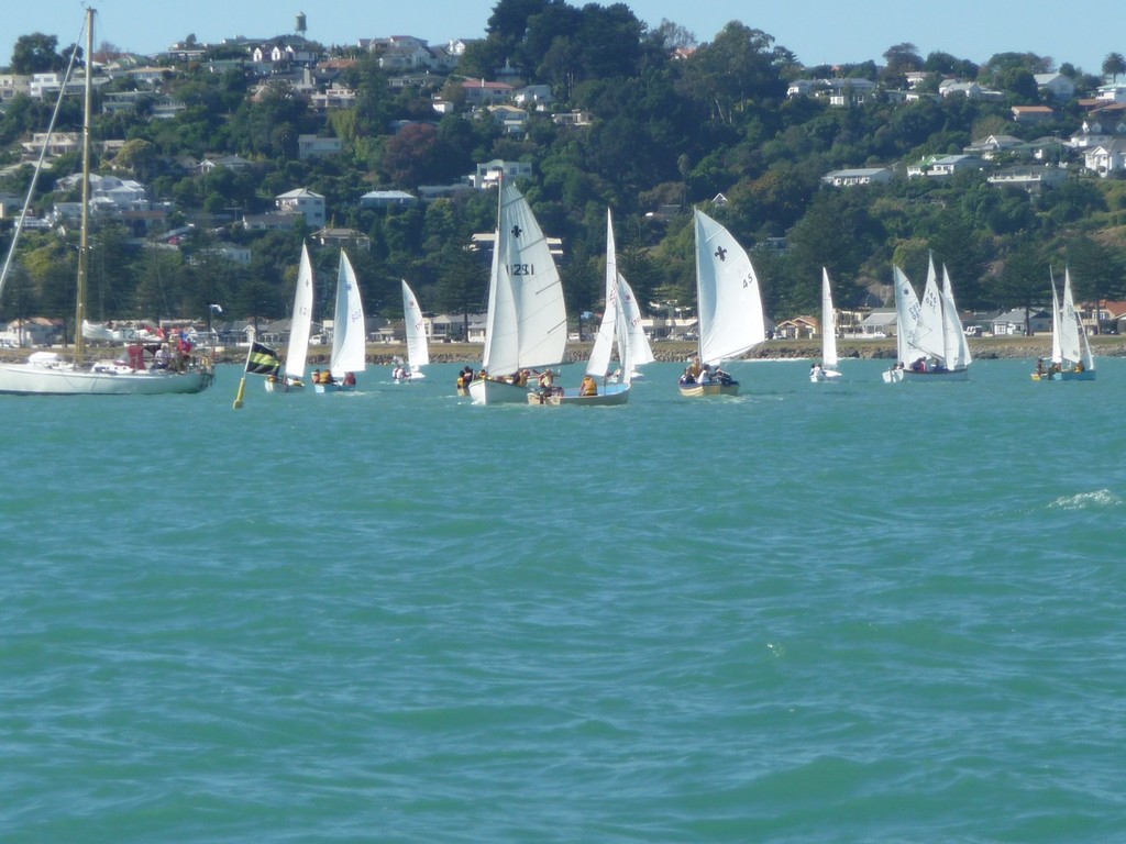 Napier Sea Scout Regatta 2010,  - Sea Scout Regatta photo copyright Randall Pavelich taken at  and featuring the  class