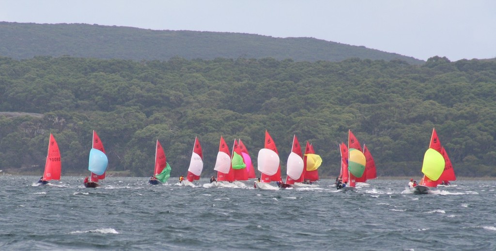 Lively conditions make Albany a great venue - 2011 LandCorp Mirror Worlds photo copyright Anthony Galante taken at  and featuring the  class