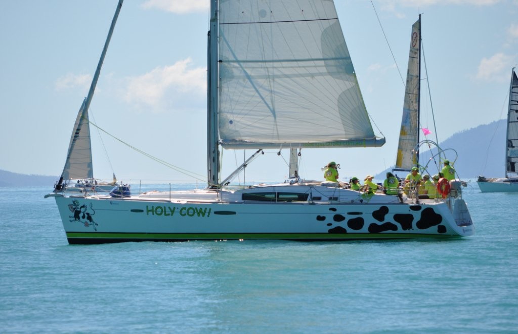 Waiting in the farm yard - Holy Cow! - Airlie Beach Race Week © e-marineworld Reiger