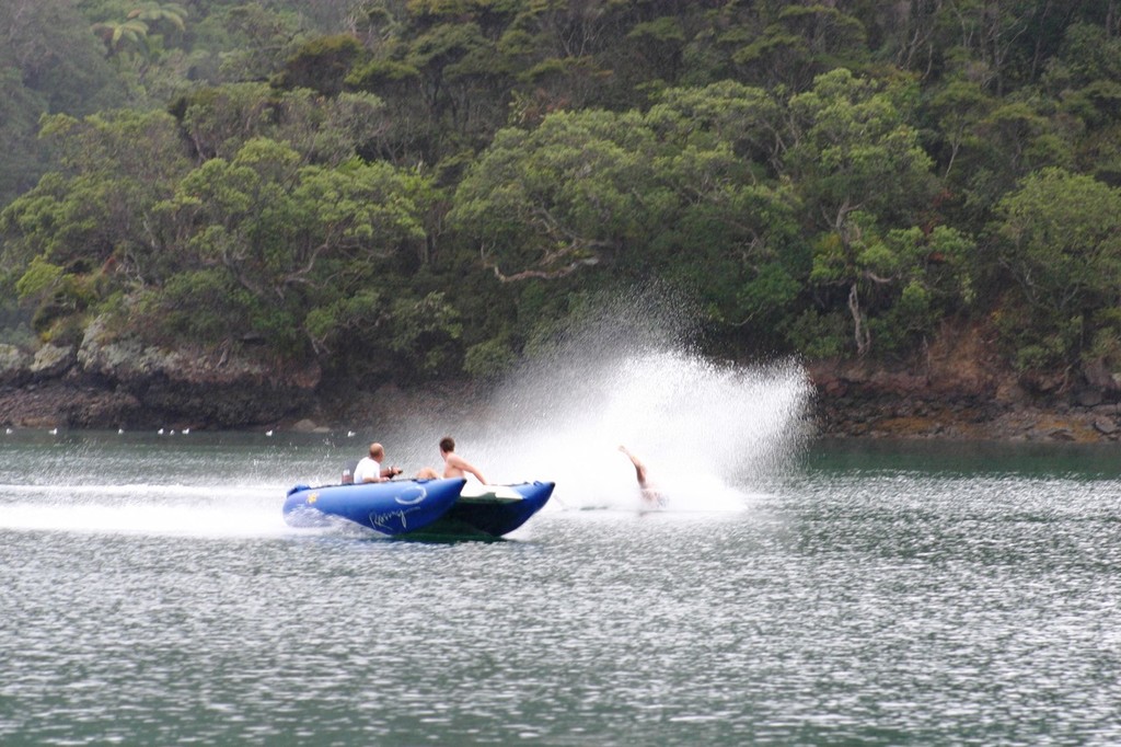 All over rover - The Great Barrier Rendezvous © Paul Shanahan