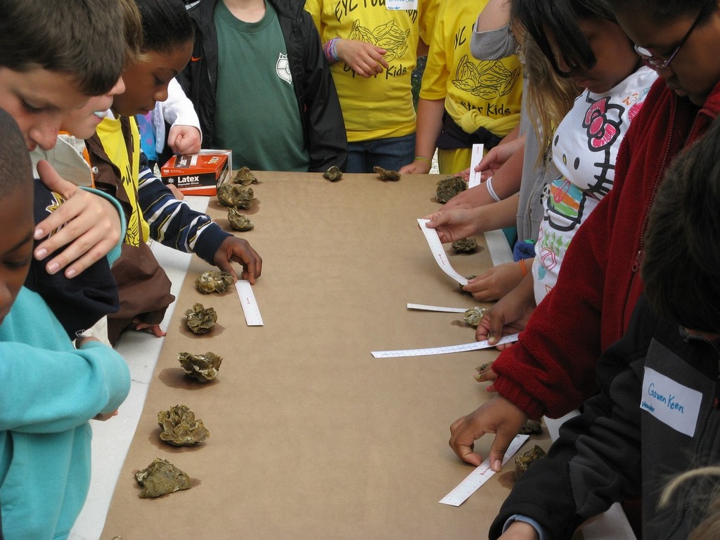 Best EYC Foundation photo photo copyright Eastport Yacht Club taken at  and featuring the  class
