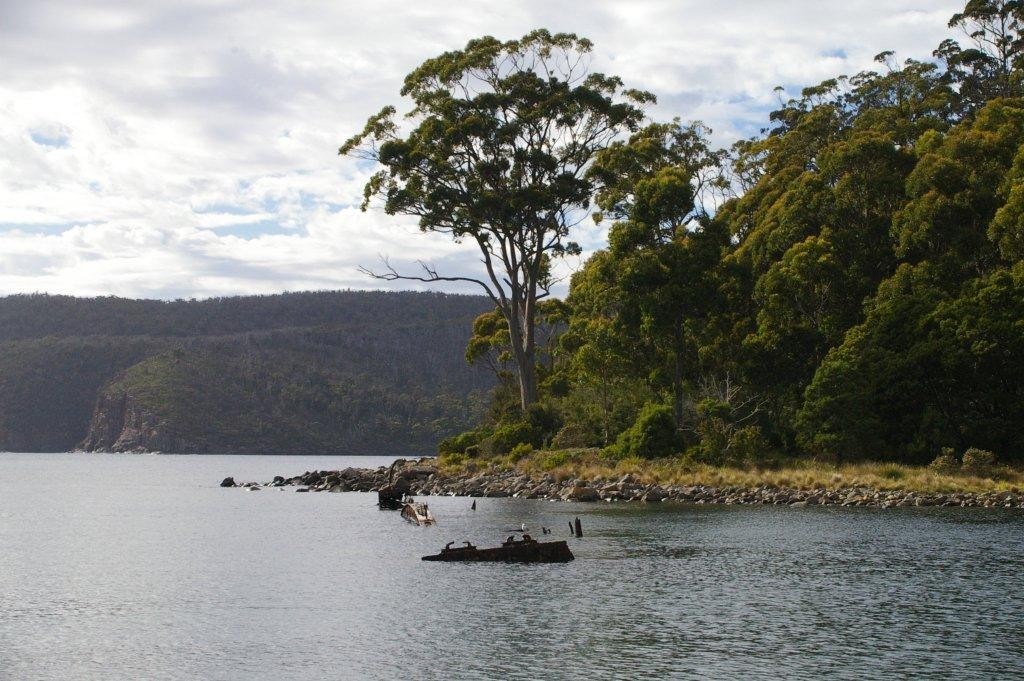 IMGP6310 - Cruising to Tasmania with the CYCA ©  SW