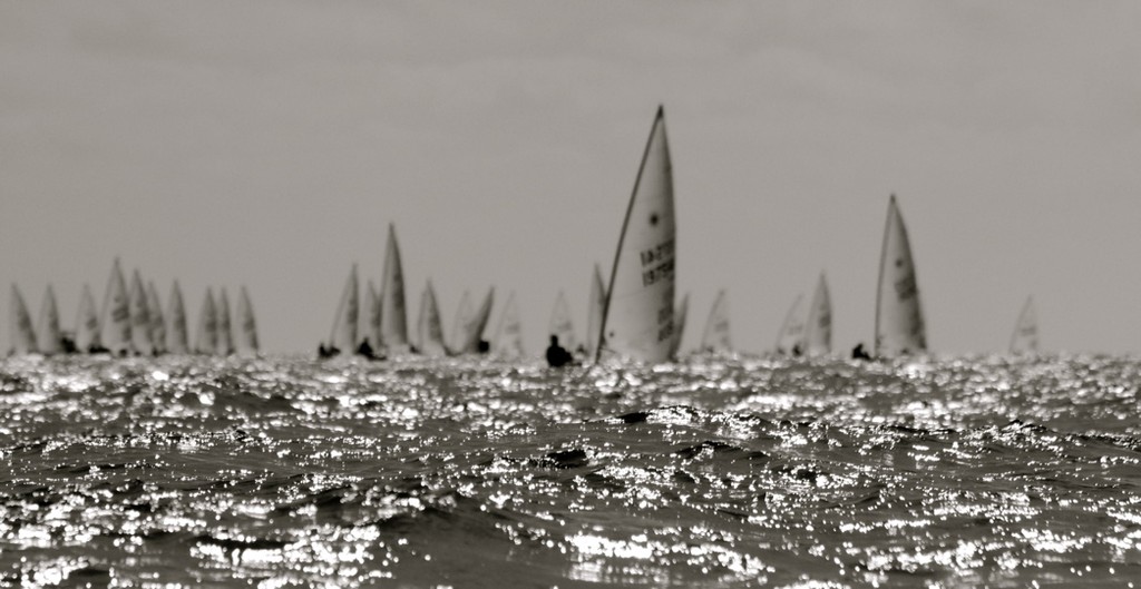 2010 Laser Standard World Championship &copy; Suellen Hurling 