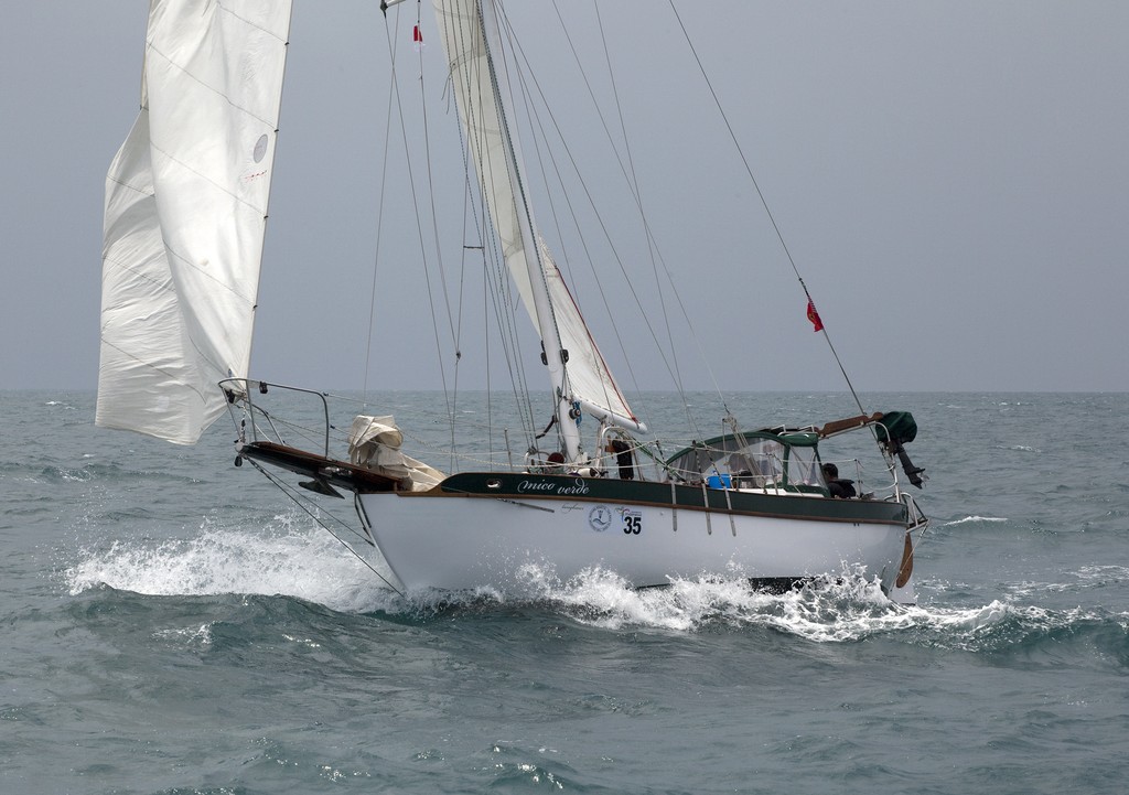 Neptune Regatta 2011. Mico Verde. © Guy Nowell http://www.guynowell.com