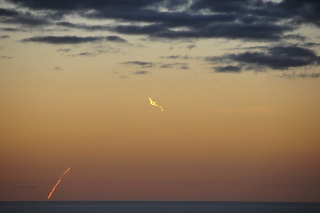 Full view of satellite hitting Tasman Sea - 4 © Peter Idoine
