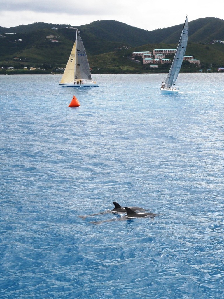 Pipedream, Jurakan, and some non-registered entrants - St. Croix Yacht Club Hospice Regatta 2010 © Ellen Sanpere