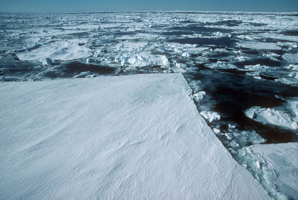 Pack ice in the Weddell Sea. - British Antarctic Survey © British Antarctic Survey http://www.antarctica.ac.uk