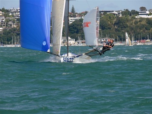 ANZAC skiffs - Day 3 Waitemata Harbour © Ross Whitburn
