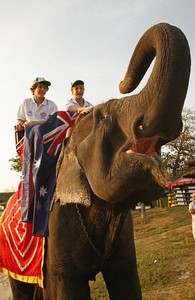 Mark Spearman and Ben Walkemeyer ride ``Milly`` the elephant before the opening ceremony - Laser 4.7 Youth Worlds photo copyright Pru Bennett taken at  and featuring the  class