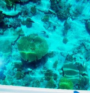 fascinating underwater world photo copyright Rolf and Irene Fricke taken at  and featuring the  class