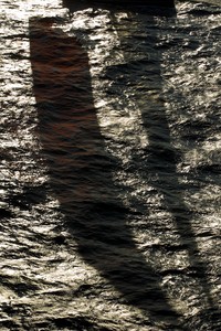 Rolex Swan Cup photo copyright  Rolex / Carlo Borlenghi http://www.carloborlenghi.net taken at  and featuring the  class