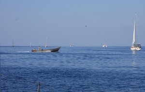Sea Life Convoy in the Gulf of Aden photo copyright SW taken at  and featuring the  class