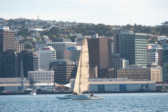 Heading back to Wellington city's inner harbour - RPNYC 129th Opening and Ambassador's Race © Chris Coad Photography http://www.chriscoad.co.nz/