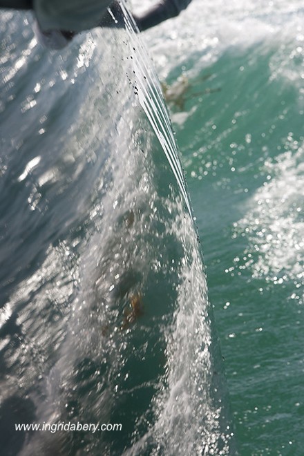 RC44 fleet  - Key West 2011. Copyright Ingrid Abery 2010. &copy; Ingrid Abery http://www.ingridabery.com