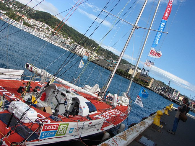 The Velux 5 Oceans yachts are moored at the Waterfront in Wellington - Velux 5 Oceans © Genevieve Howard