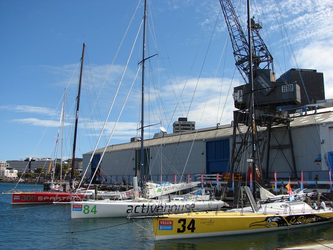 The Velux 5 Oceans yachts are moored at the Waterfront in Wellington - Velux 5 Oceans © Genevieve Howard