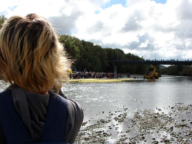 The fourth Great NZ Englefield Charity Duck Race begins at Melling Bridge on the Hutt River. - The Great NZ Englefield Charity Duck Race  © Genevieve Howard