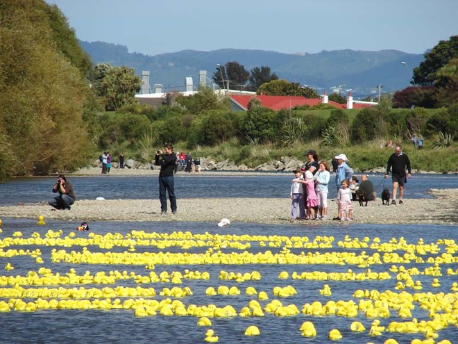 Competitors make their way downstream to Ewen Bridge. - The Great NZ Englefield Charity Duck Race  © Genevieve Howard