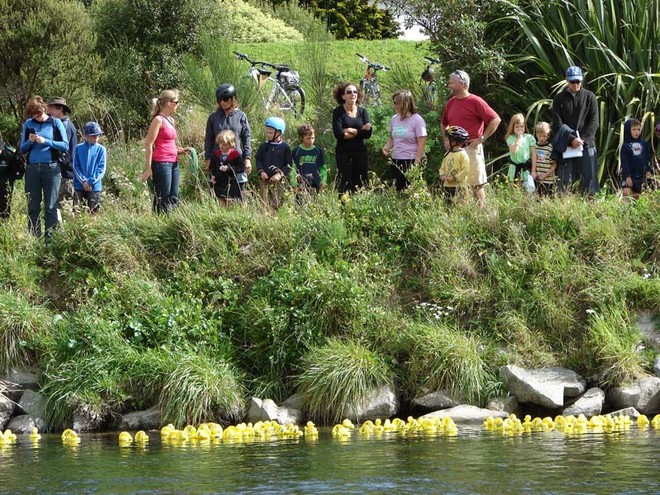 Competitors make their way downstream to Ewen Bridge. - The Great NZ Englefield Charity Duck Race  © Genevieve Howard