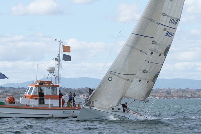 Runaway takes the Divison Two Line Honours gun. - ORCV Winter Series ©  Alex McKinnon Photography http://www.alexmckinnonphotography.com