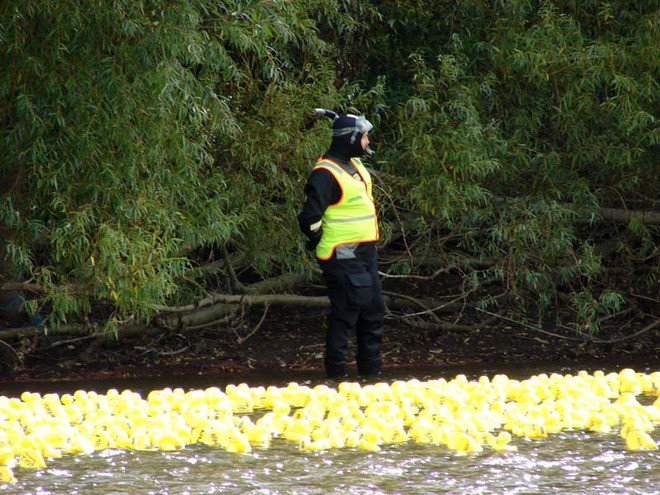Race officials were well-prepared to assist competitors. - The Great NZ Englefield Charity Duck Race  © Genevieve Howard