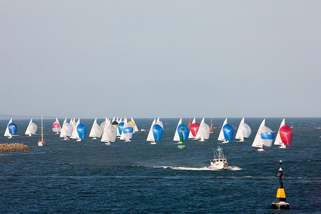 The fleet returns under kite into Newcastle Harbour on Friday. - 2011 Thrifty Etchells NSW State Championships © Kylie Wilson Positive Image - copyright http://www.positiveimage.com.au/etchells