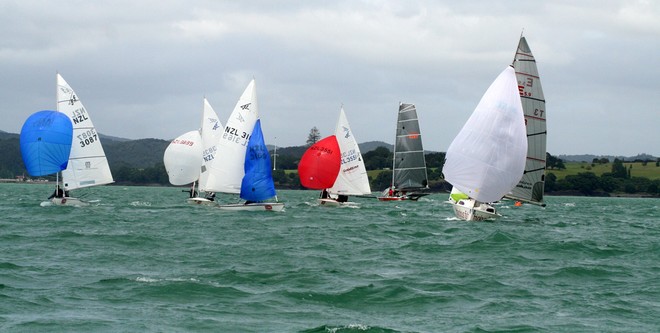 Flying Fifteen Nationals - Bay of Islands Sailing Week 2011 © Christine Webb
