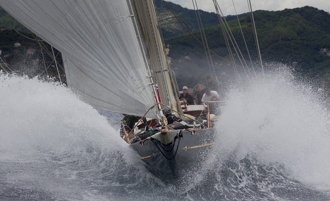 SHAMROCK V, Sail n: JK3, Class: J CLASS, Owner: SHAMROCK V Ltd - Portofino Rolex Trophy &copy;  Rolex / Carlo Borlenghi http://www.carloborlenghi.net