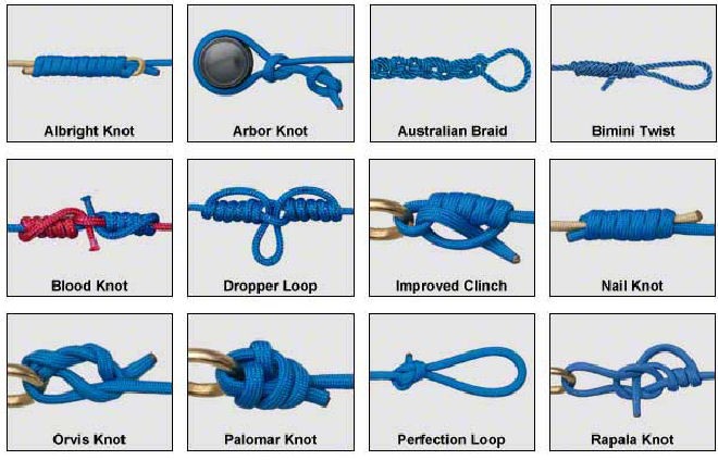 Top 6 knots you need to know - Australian Geographic