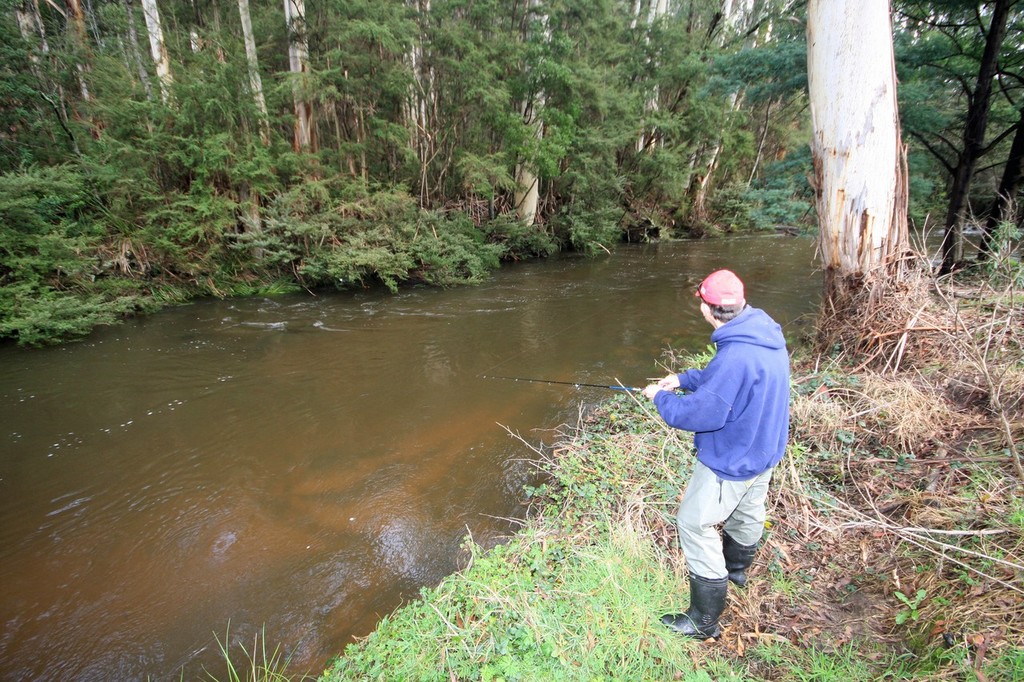 When casting into streams it is imperative you work facing upstream. © Jarrod Day