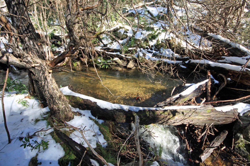 During the winter it can get cold but that wont affect the fishing. © Jarrod Day