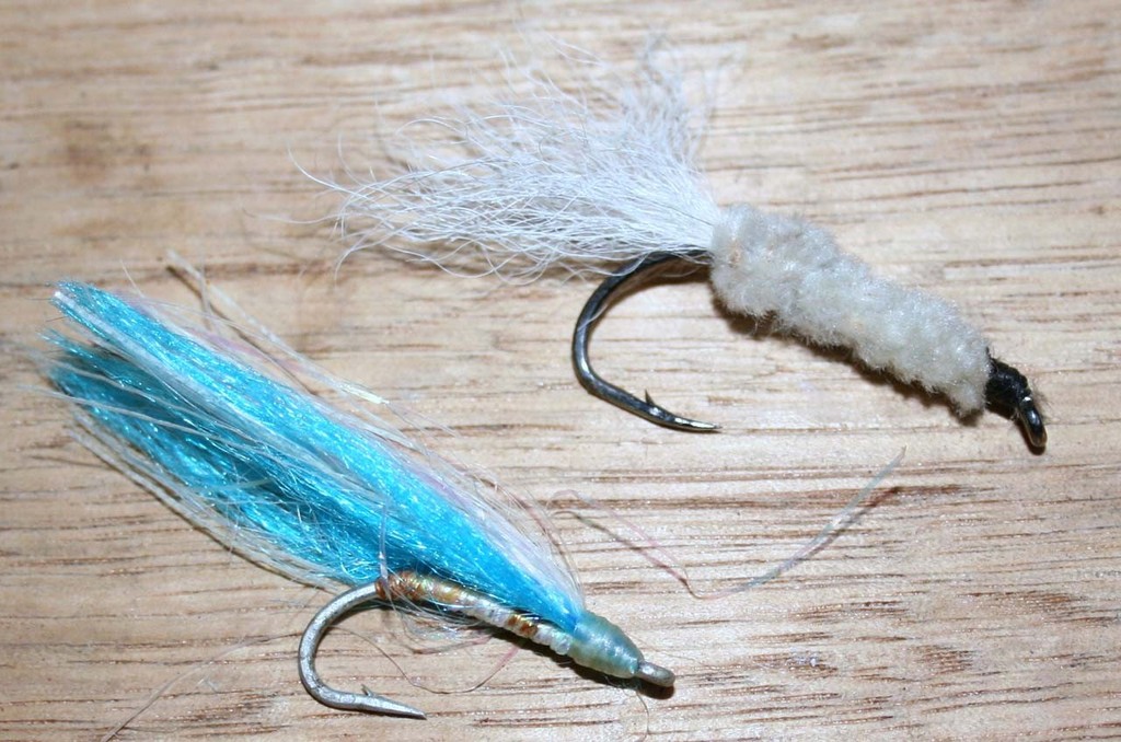 Clouser  and Deceiver Fly photo copyright Carl Hyland - copyright taken at  and featuring the  class