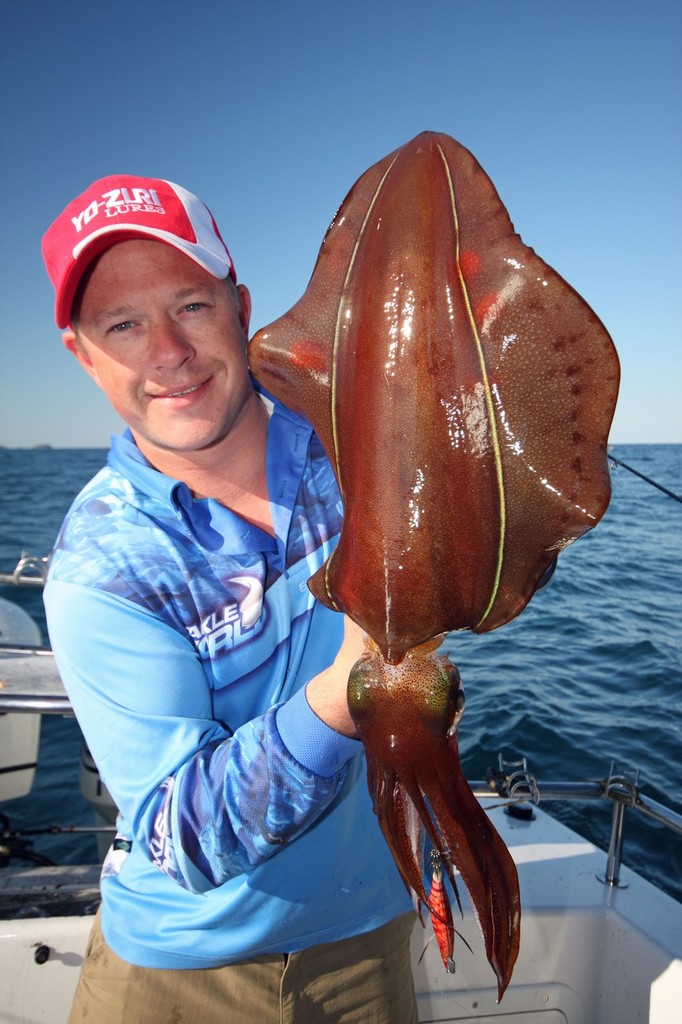 From September in Victoria, big spawning calamari enter both Port Phillip Bay and Western Port.  ©  Jarrod Day www.jarrodday.com