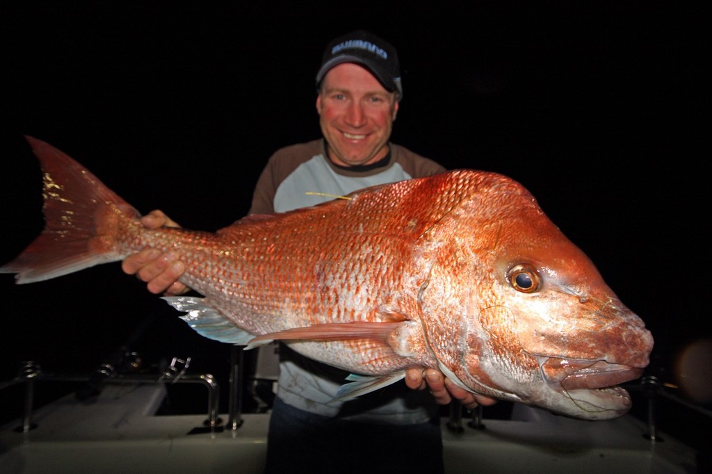 The annual snapper run is truly something, September through to February is the peak time. © Jarrod Day