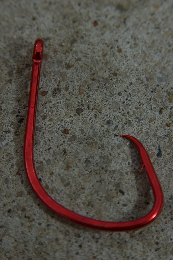 Up close and personal with a Black Magic KL 6/0, the ideal hook for snapper, salmon, mulloway, tuna and many more. - Hooks, The Definitive Point © Jarrod Day