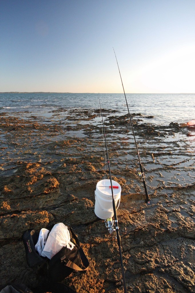 You don’t need a tonne of gear to fish from the rocks. A selection of bait and tackle is all that’s required. - Gummy Sharks © Jarrod Day