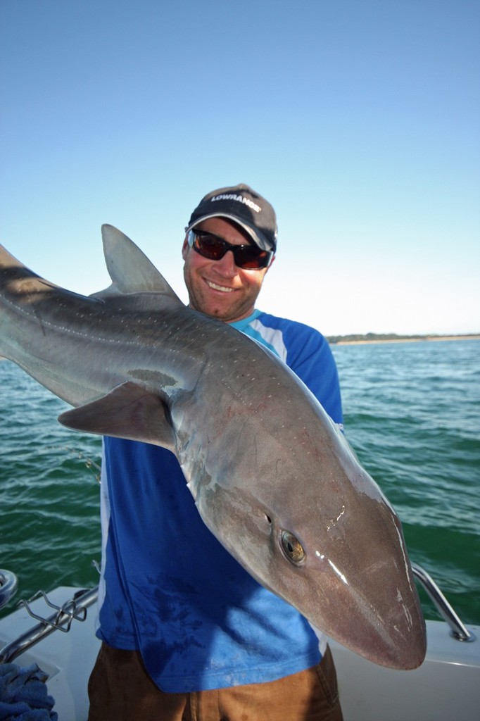Gawaine Blake from Big Time charters prides himself on catching and releasing big gummy sharks for his clients (http://bigtimefishingcharters.com.au). © Jarrod Day