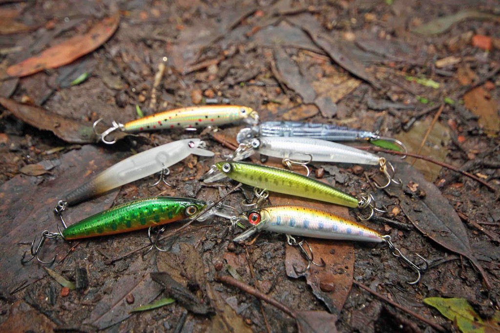 The authors preferred lure selection.  © Jarrod Day