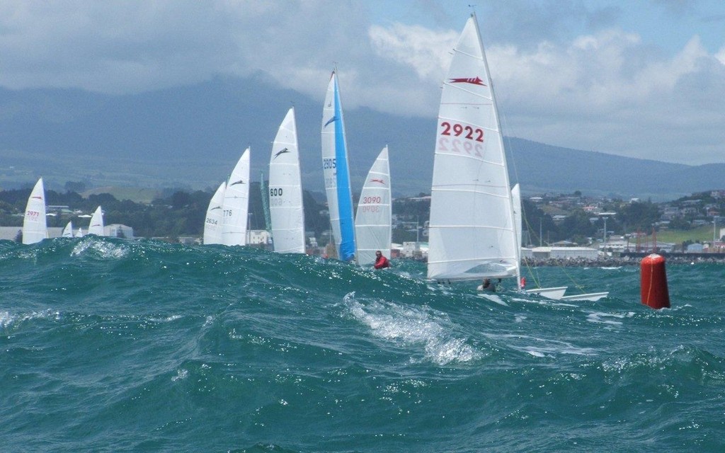 2012 Mitre 10 MEGA NZ Paper Tiger Nationals.jpg © Claire Anderson