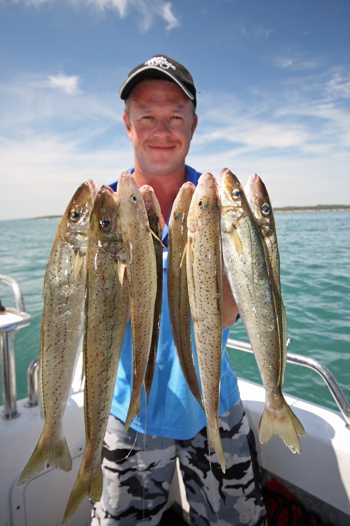 If you want to catch numbers of whiting, berley and they will come. - Jarrod Day © Jarrod Day