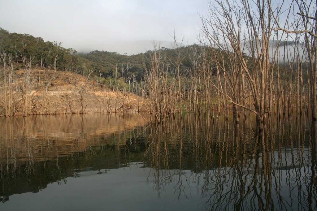 Working the timber line is where you’ll encounter most fish. © Jarrod Day