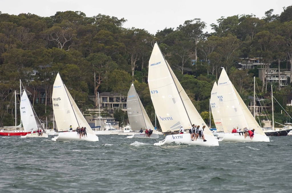 Young Guns Melges 24s  - 2011 Melges Young Guns Regatta © David Price