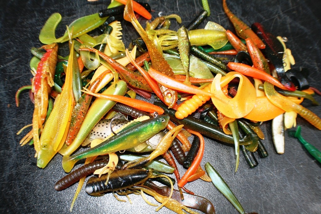 Some of my favourite colours. - Fishing around Tasmania © Carl Hyland