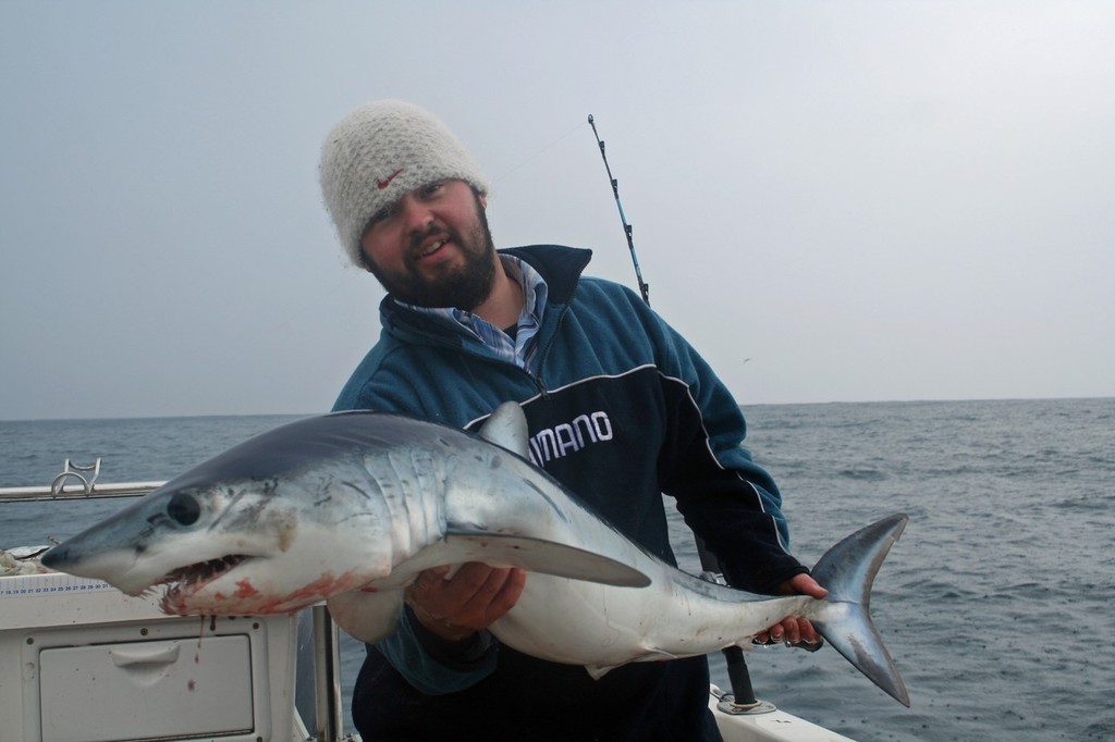 Offshore, mako shark abound in the summer months. © Jarrod Day