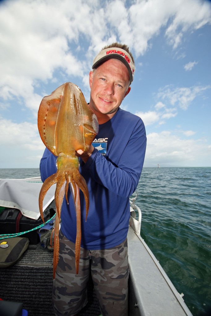 Big calamari are about over the weedbeds. © Jarrod Day