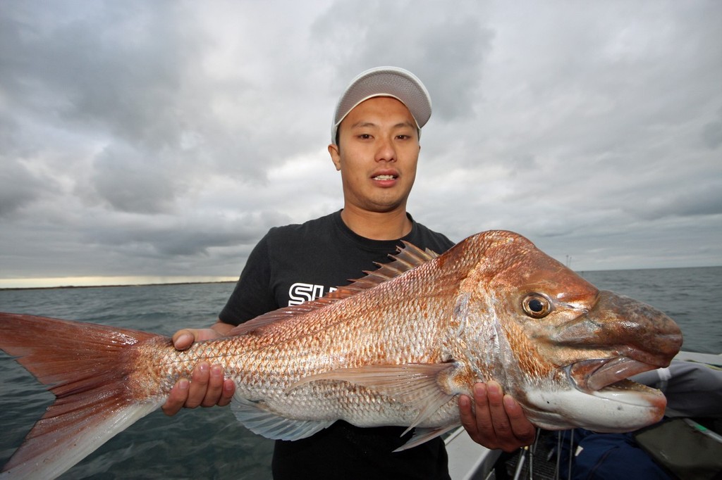 Port Welshpool is the home of big reds, especially in Singapore Deep. © Jarrod Day